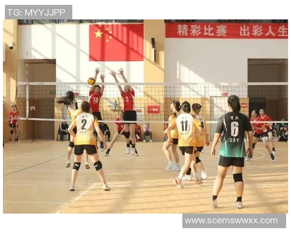 重庆排球队心理素质分析：锦标赛中的表现与挑战